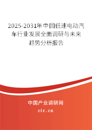 2025-2031年中国低速电动汽车行业发展全面调研与未来趋势分析报告