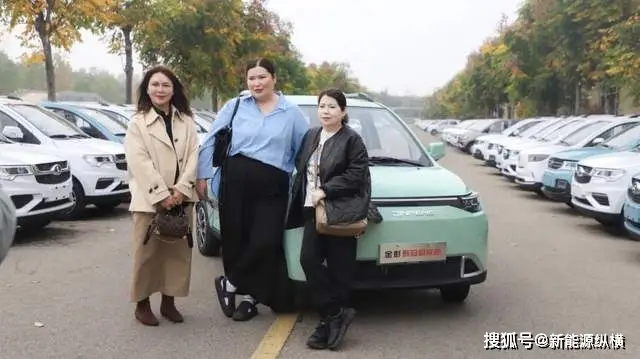 金彭汽车低速电动车行业领跑者_金彭汽车领冠甄冠米多车型升级_2025低速电动汽车政策