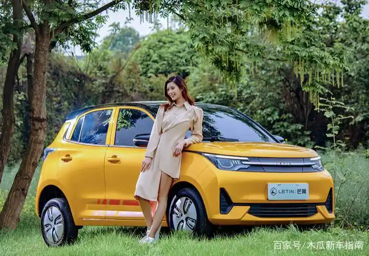 低速电动汽车十大品牌排名变动，雷丁、丽驰为何不在列？