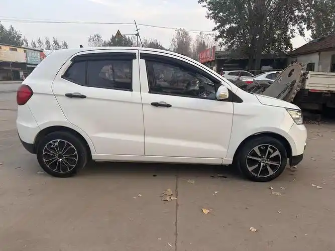 低速电动车市场分析_中国低速电动汽车品牌_低速电动汽车品牌排行